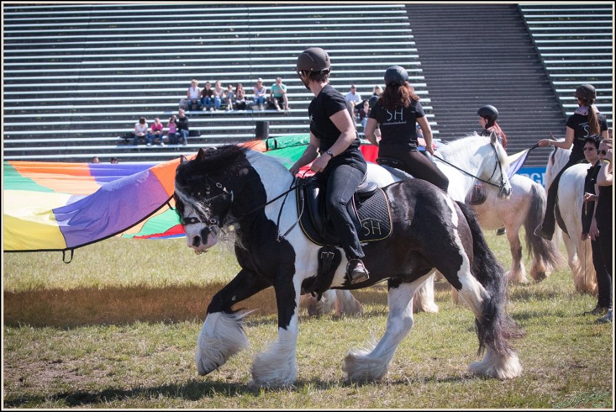 Pferd International 015